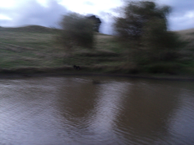 Name:  picture 01 3355.jpg
Views: 301
Size:  165.0 KB