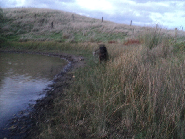 Name:  picture 01 3356.jpg
Views: 307
Size:  164.5 KB