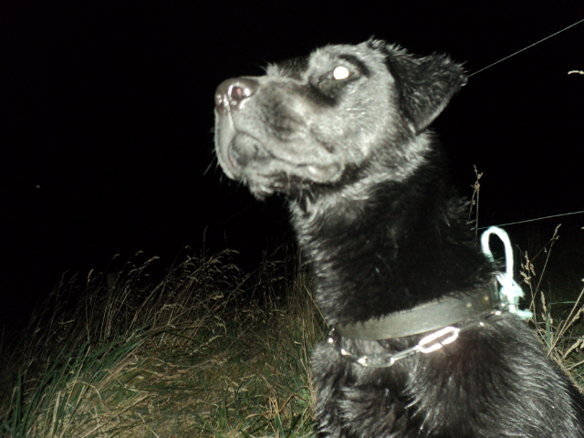 Name:  picture 01 3363.jpg
Views: 301
Size:  165.3 KB