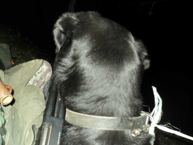 Name:  picture 01 3376.jpg
Views: 247
Size:  164.7 KB