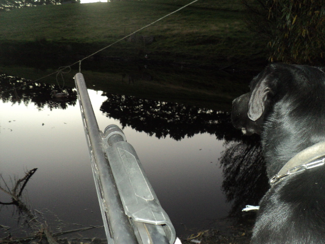 Name:  picture 01 3381.jpg
Views: 194
Size:  164.5 KB
