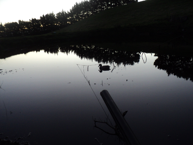 Name:  picture 01 3382.jpg
Views: 188
Size:  165.1 KB