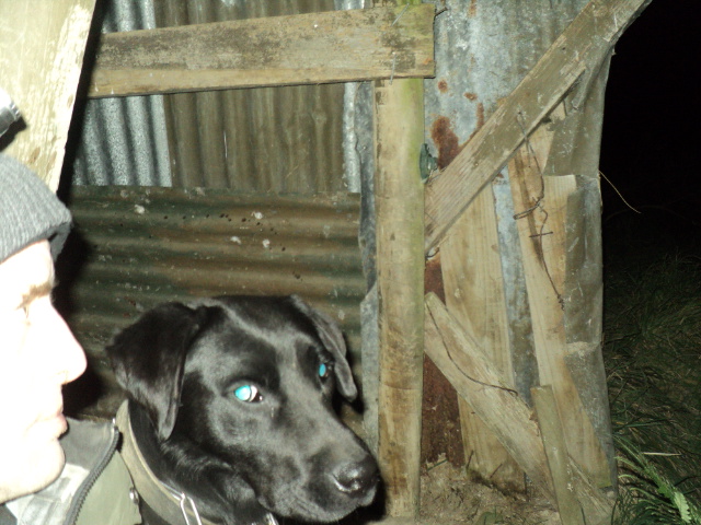 Name:  picture 01 3404.jpg
Views: 236
Size:  163.6 KB