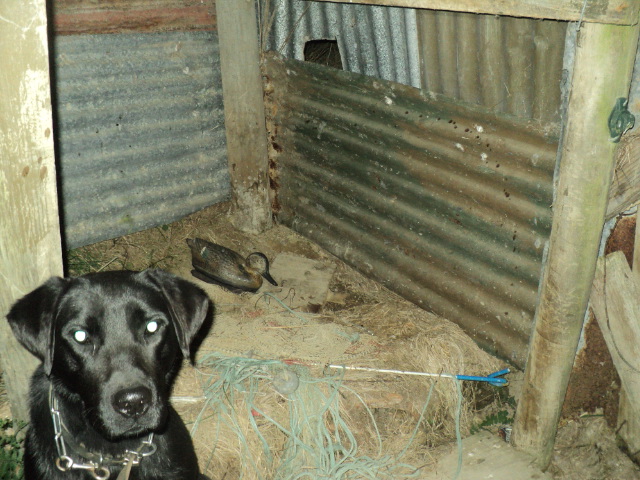 Name:  picture 01 3407.jpg
Views: 261
Size:  162.8 KB