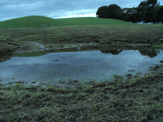 Name:  picture 1890.jpg
Views: 348
Size:  162.7 KB