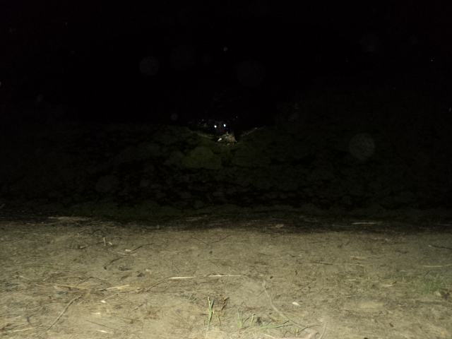 Name:  picture 01 3454.jpg
Views: 209
Size:  161.9 KB