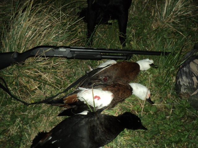 Name:  picture 01 3458.jpg
Views: 161
Size:  164.7 KB