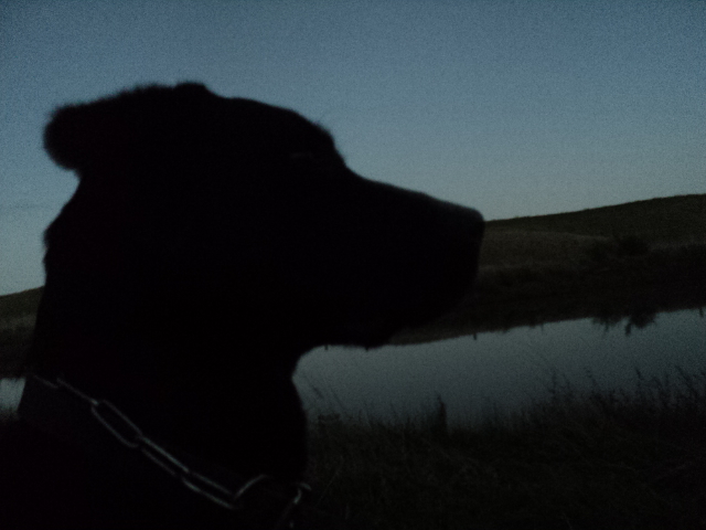 Name:  picture 01 3465.jpg
Views: 371
Size:  165.0 KB