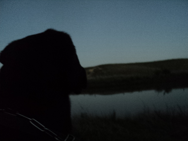 Name:  picture 01 3466.jpg
Views: 353
Size:  155.9 KB