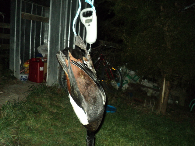 Name:  picture 01 3472.jpg
Views: 337
Size:  164.2 KB