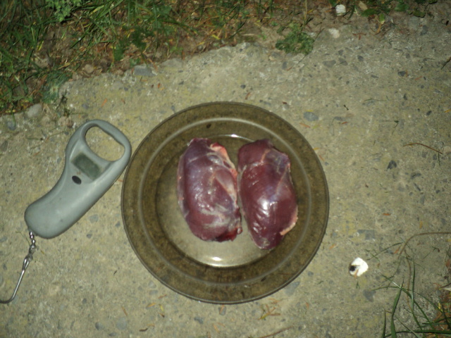 Name:  picture 01 3473.jpg
Views: 335
Size:  163.5 KB