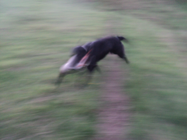 Name:  picture 01 3479.jpg
Views: 326
Size:  158.7 KB