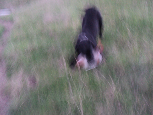 Name:  picture 01 3480.jpg
Views: 346
Size:  164.1 KB