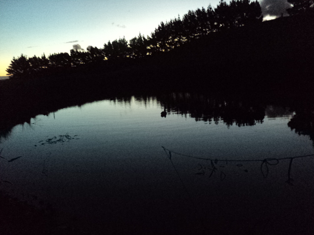Name:  picture 01 3481.jpg
Views: 295
Size:  164.5 KB