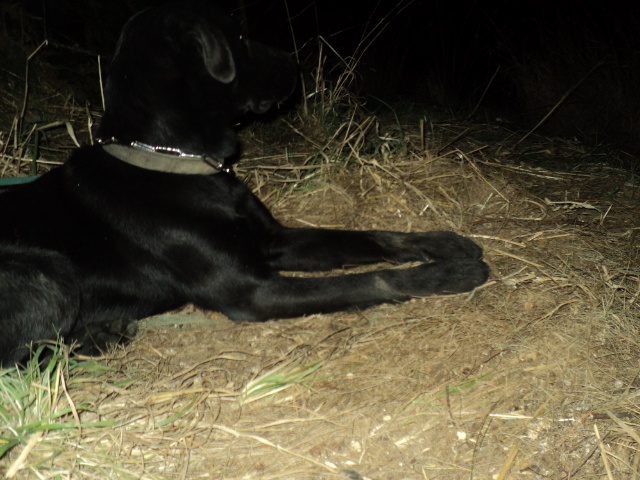 Name:  picture 01 3506.jpg
Views: 229
Size:  164.5 KB