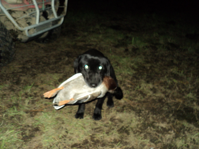 Name:  picture 1905.jpg
Views: 337
Size:  163.8 KB
