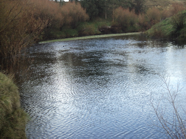 Name:  picture 01 3511.jpg
Views: 367
Size:  164.4 KB
