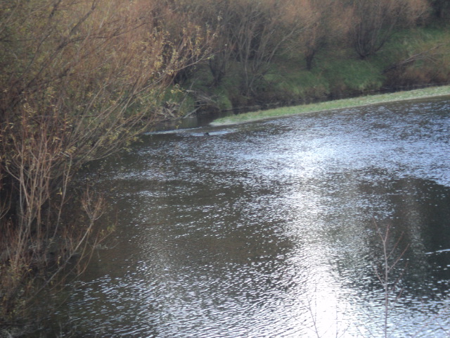 Name:  picture 01 3512.jpg
Views: 370
Size:  165.1 KB