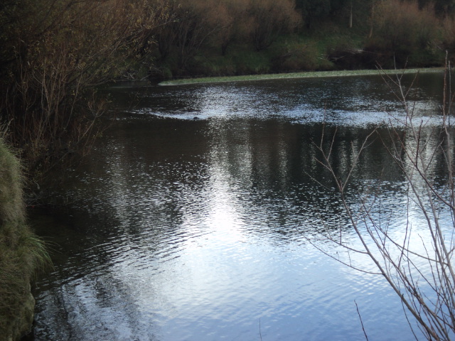 Name:  picture 01 3513.jpg
Views: 360
Size:  164.4 KB