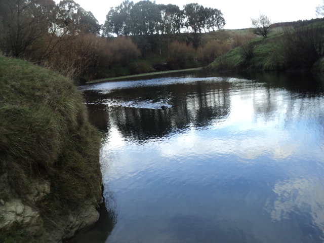 Name:  picture 01 3514.jpg
Views: 358
Size:  164.3 KB