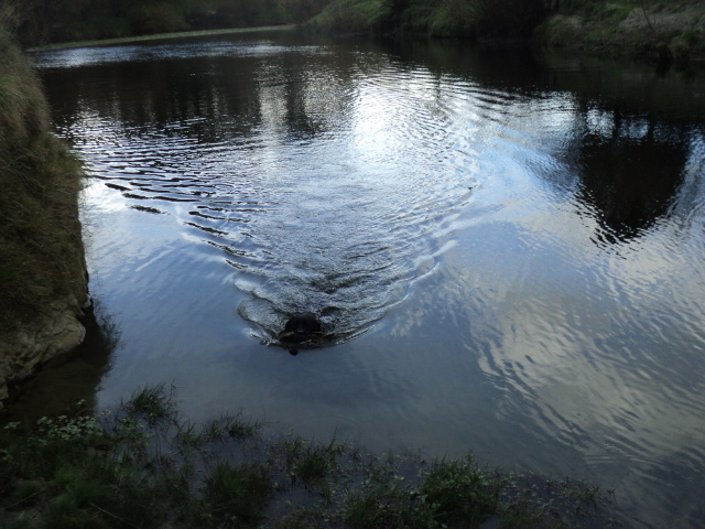 Name:  picture 01 3515.jpg
Views: 392
Size:  165.0 KB