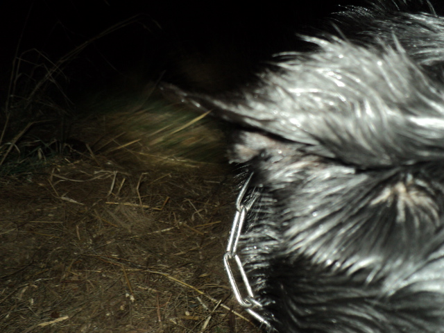 Name:  picture 01 3526.jpg
Views: 264
Size:  164.5 KB