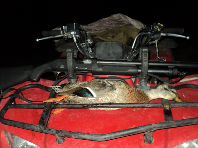 Name:  picture 01 3529.jpg
Views: 260
Size:  161.4 KB