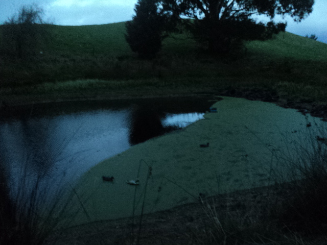 Name:  picture 01 3531.jpg
Views: 251
Size:  164.0 KB