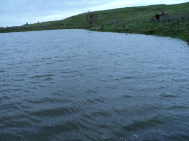 Name:  picture 1915.jpg
Views: 278
Size:  160.5 KB