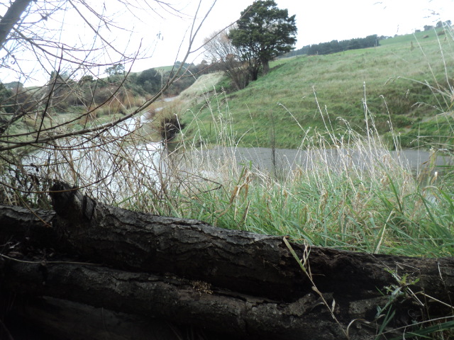 Name:  picture 01 3546.jpg
Views: 162
Size:  163.8 KB