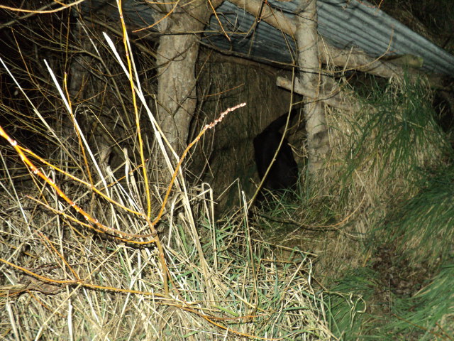 Name:  picture 01 3548.jpg
Views: 161
Size:  164.9 KB