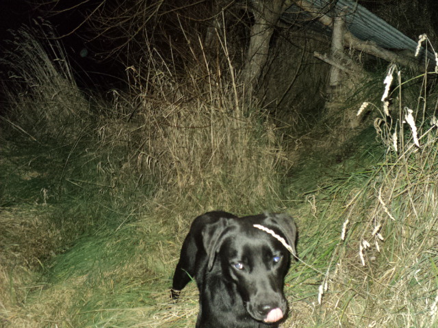 Name:  picture 01 3550.jpg
Views: 162
Size:  165.1 KB