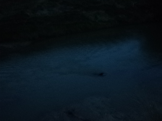Name:  picture 01 3555.jpg
Views: 308
Size:  164.7 KB