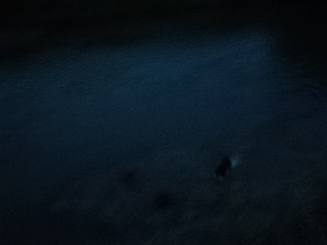 Name:  picture 01 3556.jpg
Views: 297
Size:  165.3 KB