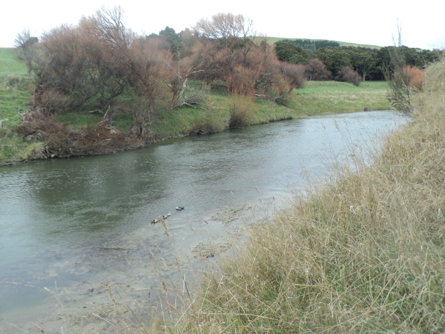 Name:  picture 01 3560.jpg
Views: 299
Size:  163.0 KB