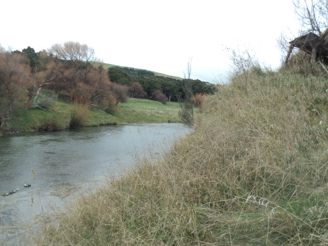 Name:  picture 01 3561.jpg
Views: 275
Size:  165.2 KB