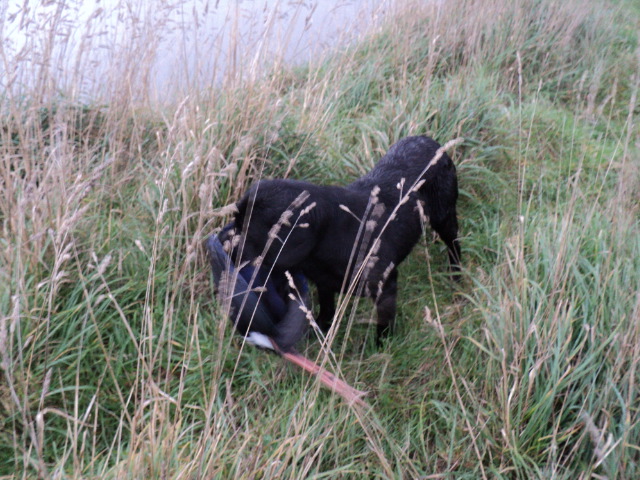 Name:  picture 1926.jpg
Views: 301
Size:  164.2 KB