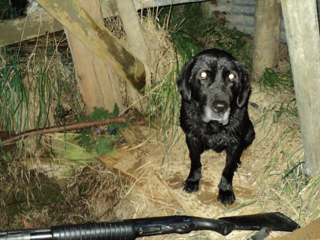 Name:  picture 1927.jpg
Views: 318
Size:  164.3 KB