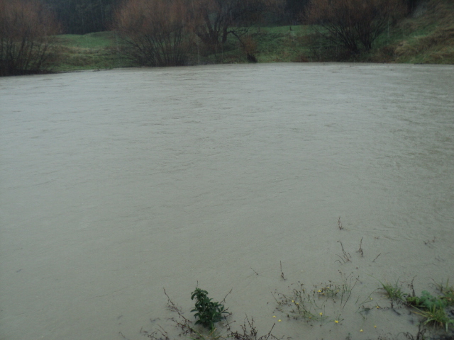 Name:  picture 01 3594.jpg
Views: 209
Size:  163.5 KB
