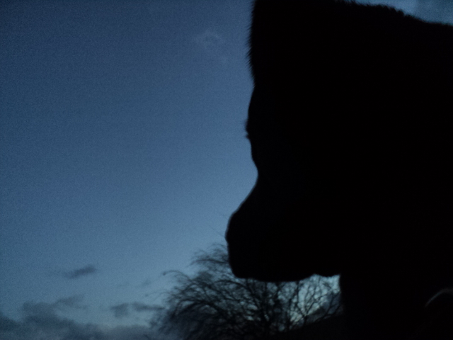 Name:  picture 01 3605.jpg
Views: 231
Size:  154.9 KB