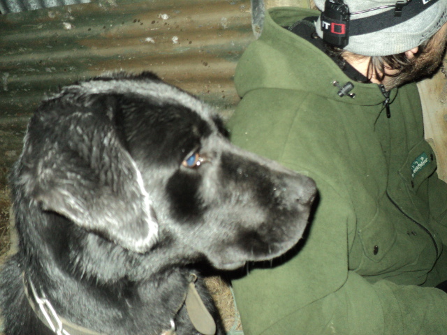 Name:  picture 01 3611.jpg
Views: 227
Size:  165.1 KB