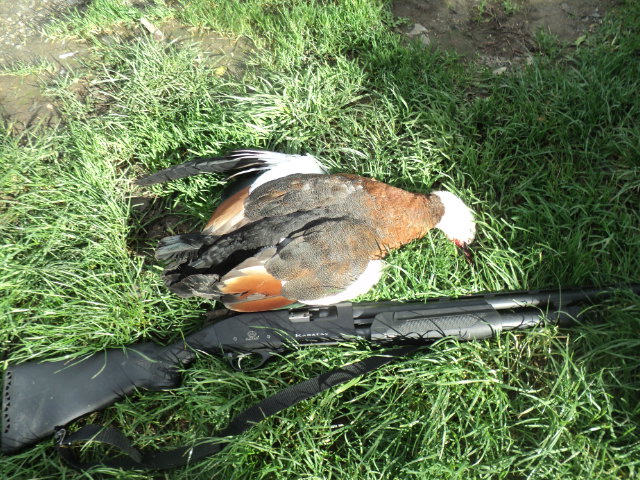 Name:  picture 01 3616.jpg
Views: 187
Size:  163.4 KB