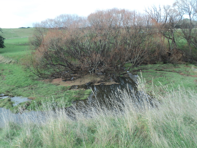 Name:  picture 01 3630.jpg
Views: 520
Size:  163.9 KB