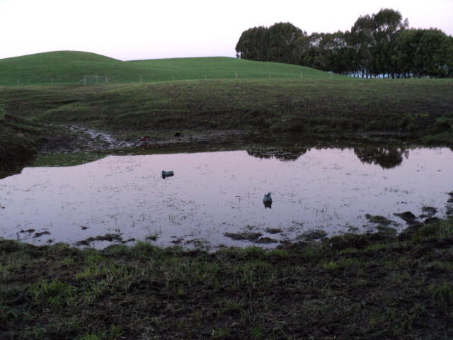 Name:  picture 1941.jpg
Views: 256
Size:  164.3 KB