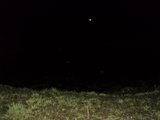 Name:  picture 1943.jpg
Views: 260
Size:  160.4 KB