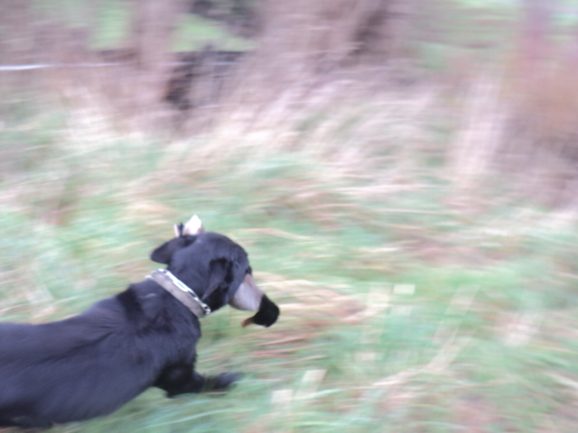 Name:  picture 01 3671.jpg
Views: 365
Size:  157.7 KB