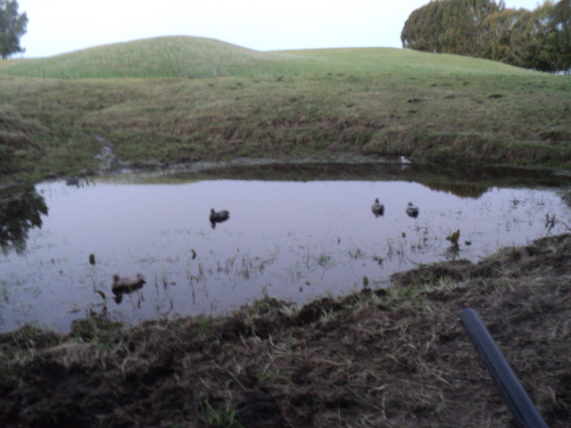 Name:  picture 01 3710.jpg
Views: 418
Size:  163.1 KB