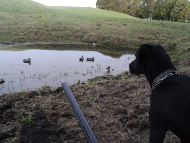 Name:  picture 01 3712.jpg
Views: 427
Size:  163.4 KB