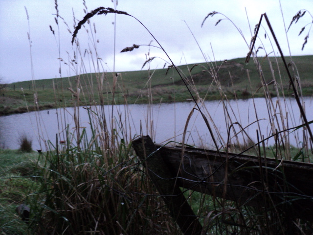Name:  picture 1926.jpg
Views: 410
Size:  165.3 KB