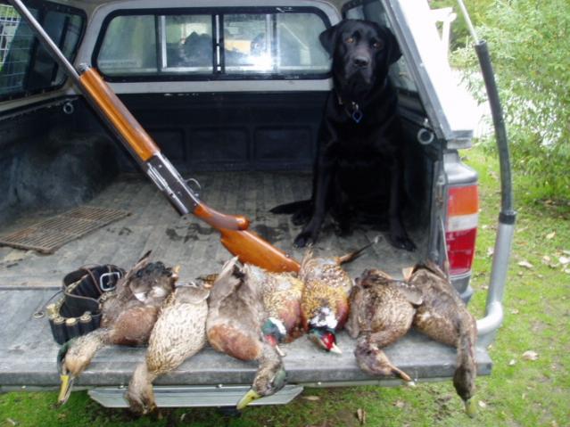 Name:  ducks 210 036.jpg
Views: 307
Size:  53.9 KB